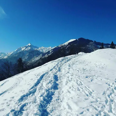 Enzian Апартаменты